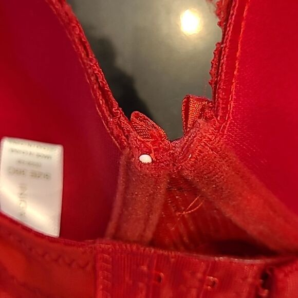 ADRIENNE  Vittavini  sz 36C red lace lightly padded bra - Picture 4 of 7